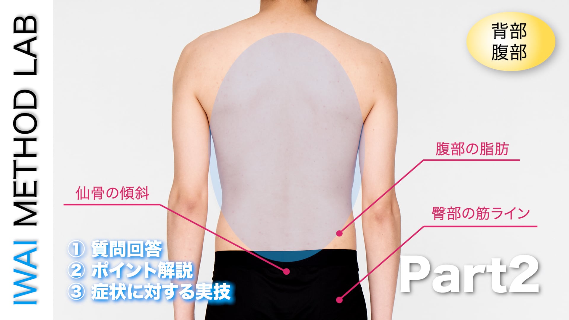 オンライン実技講習：「背部疾患改善テクニック（part 2）」