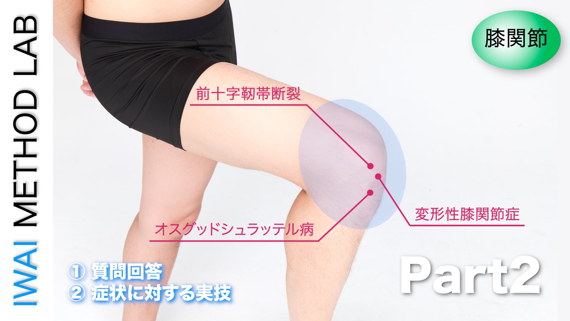 オンライン実技講習：アスリートが抱える膝障害を中心に膝痛症状別テクニック Part.2