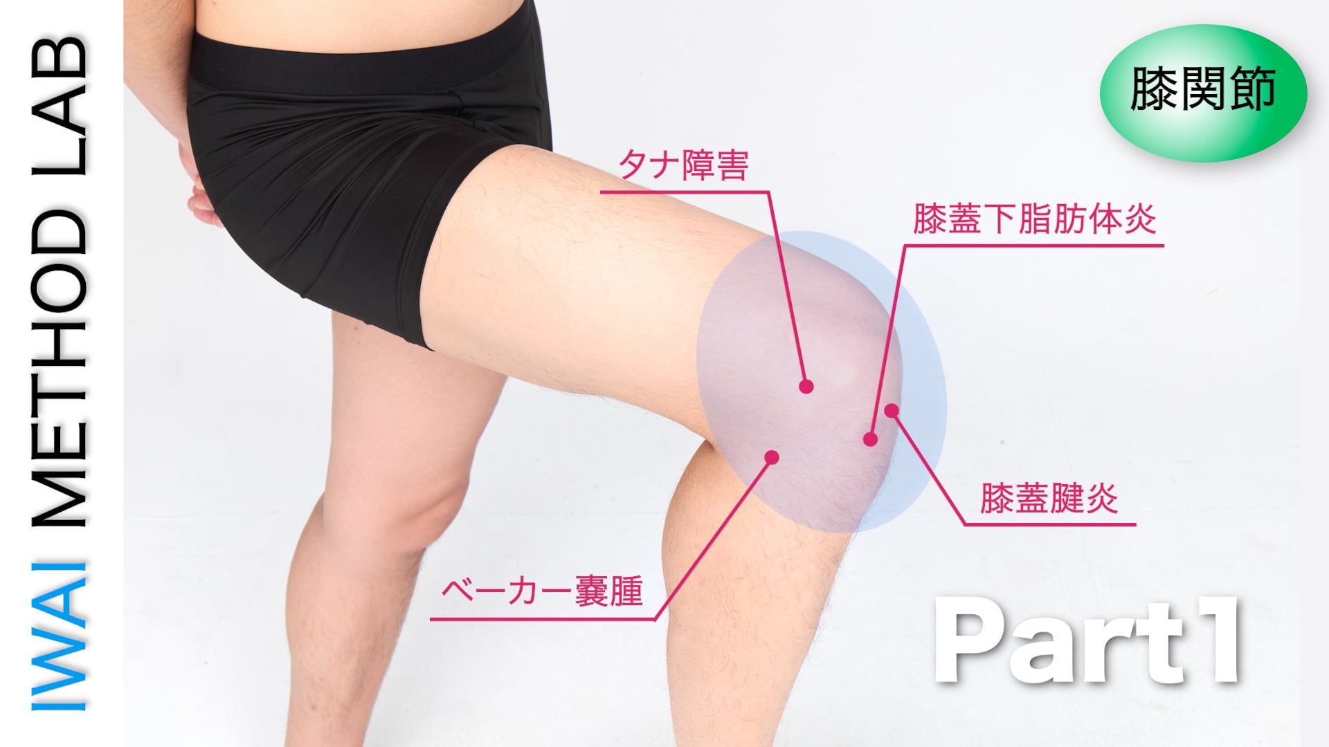 オンライン実技講習：アスリートが抱える膝障害 Part.1