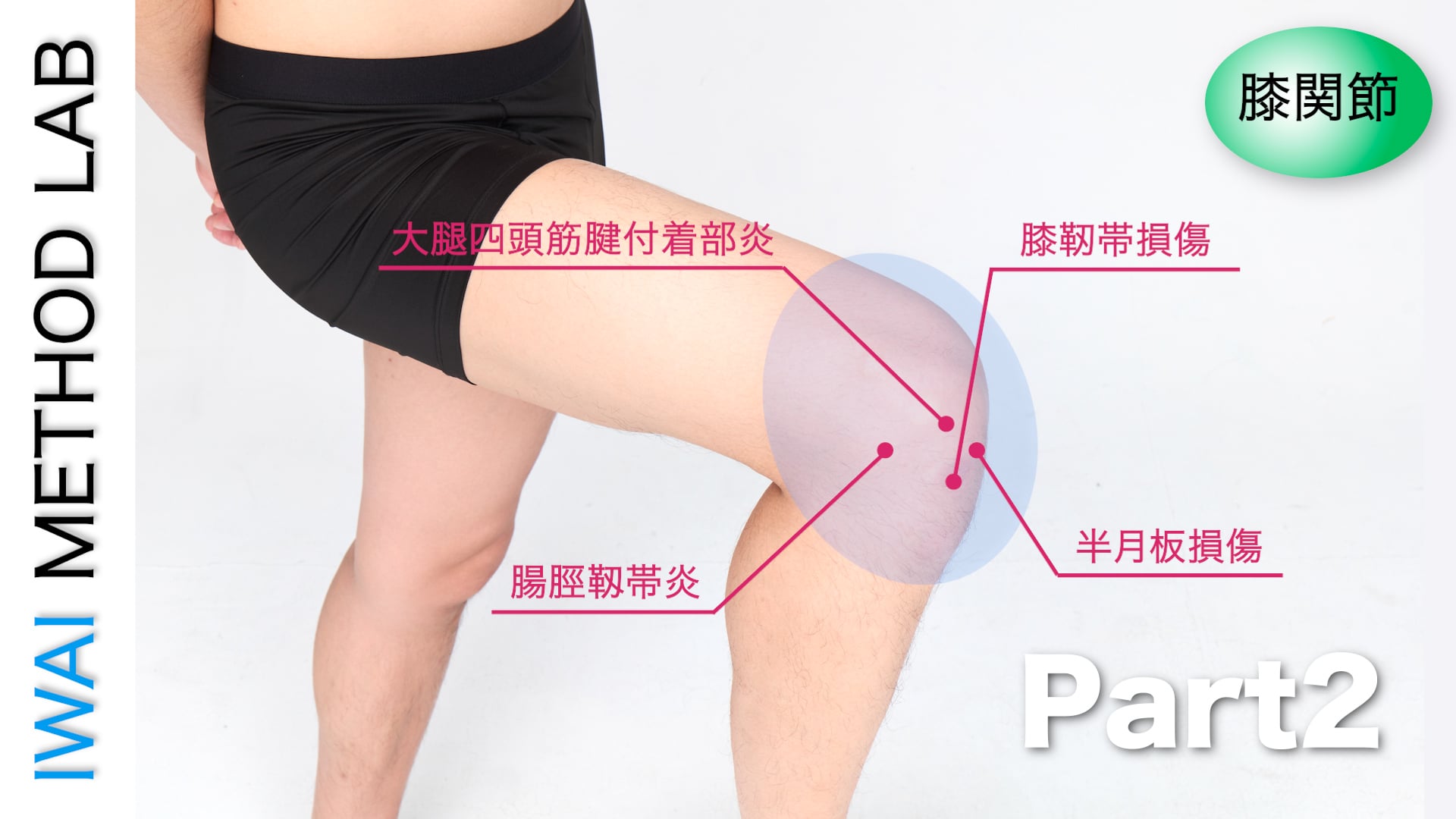オンライン実技講習：アスリートが抱える膝障害 Part.2