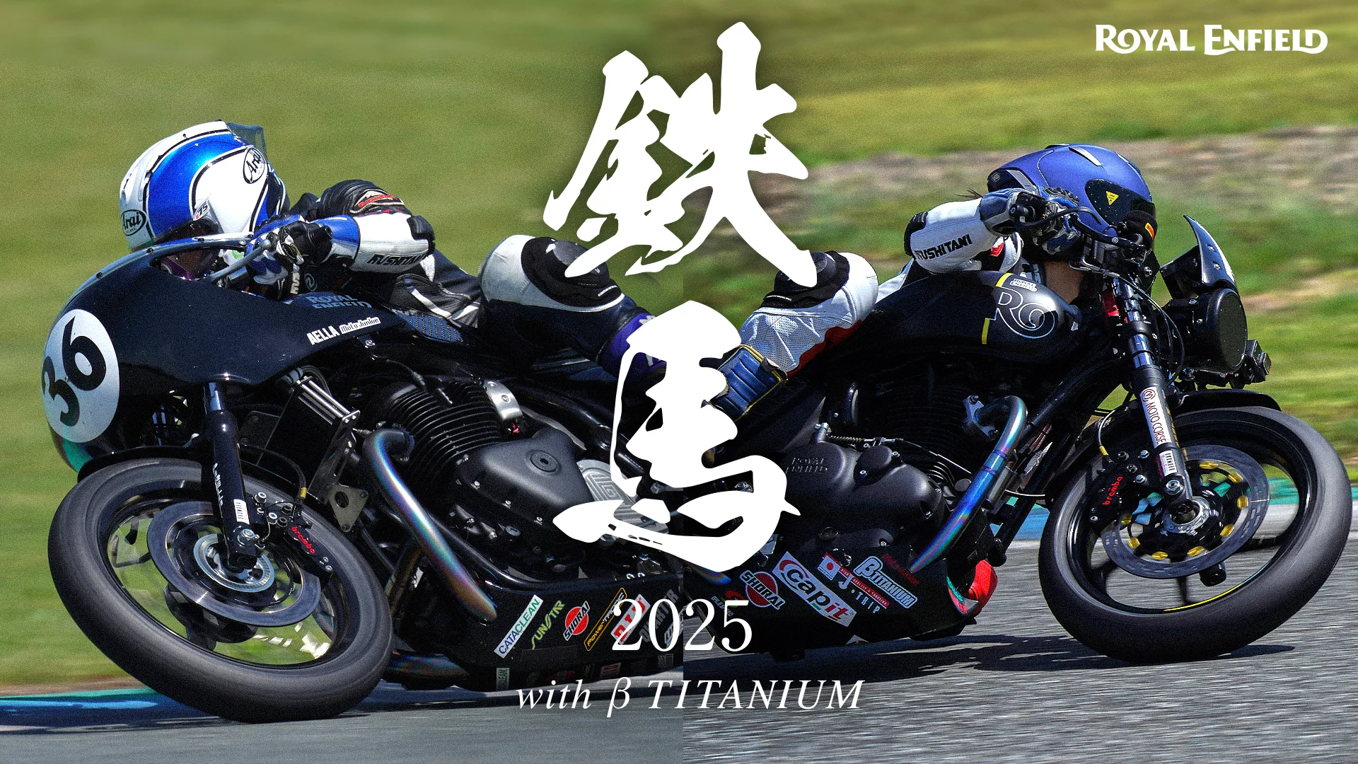 最終値下げ 【新品】 mowl ヴィジランシア DENKEN ロイヤルブルー 最終値下げ 【新品】 mowl ヴィジランシア DENKEN ロイヤル