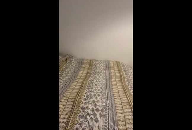 Video 1: Location