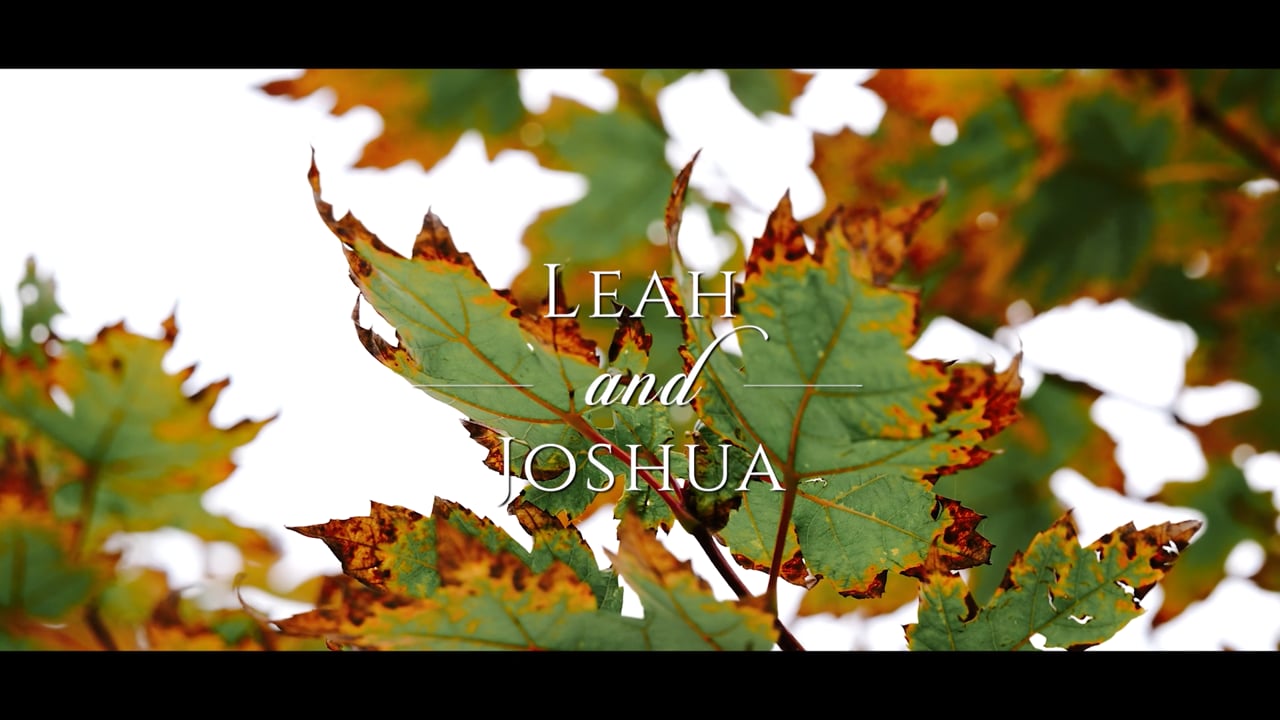 The Lakehouse Wedding Video, Sydney - Leah and Joshua
