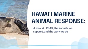 5.20.25 - OCC - Stew and Rice - HMAR - Full Video