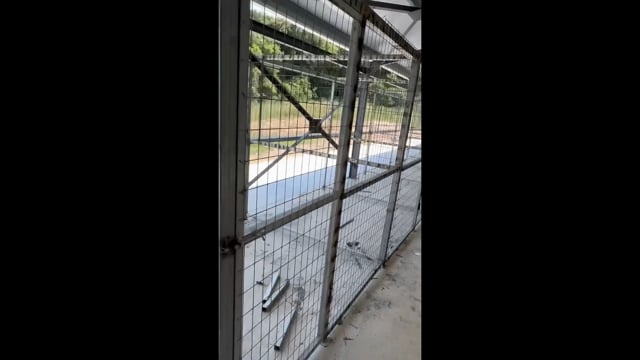 Δημοτικό Κυνοκομείο Ζηρού πτώμα σκύλου σε προχωρημένη σήψη 7-6-2025