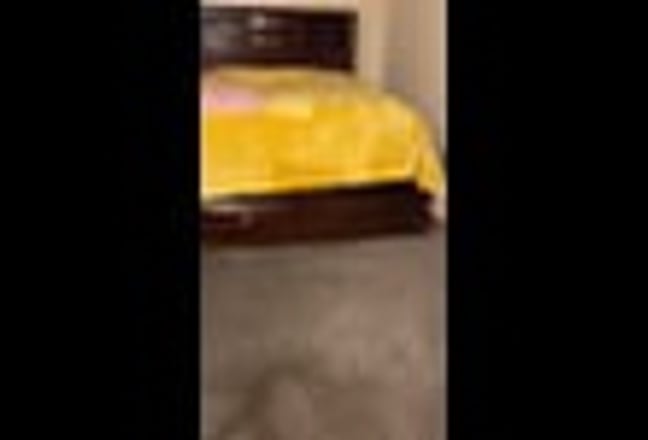 Large room for rent Main Photo