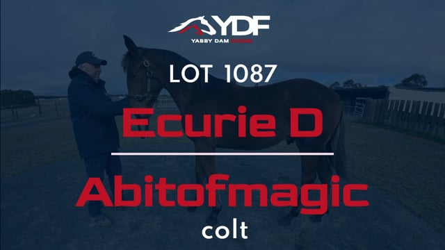 Lot 1087