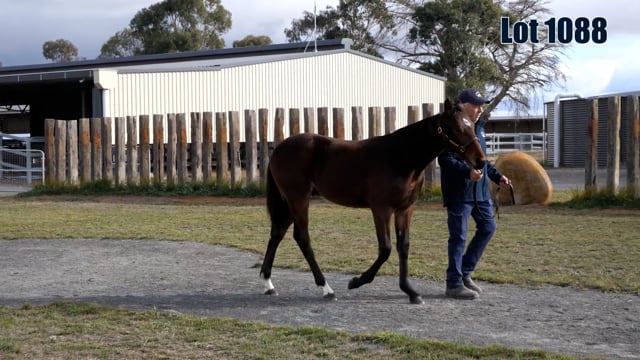 Lot 1088
