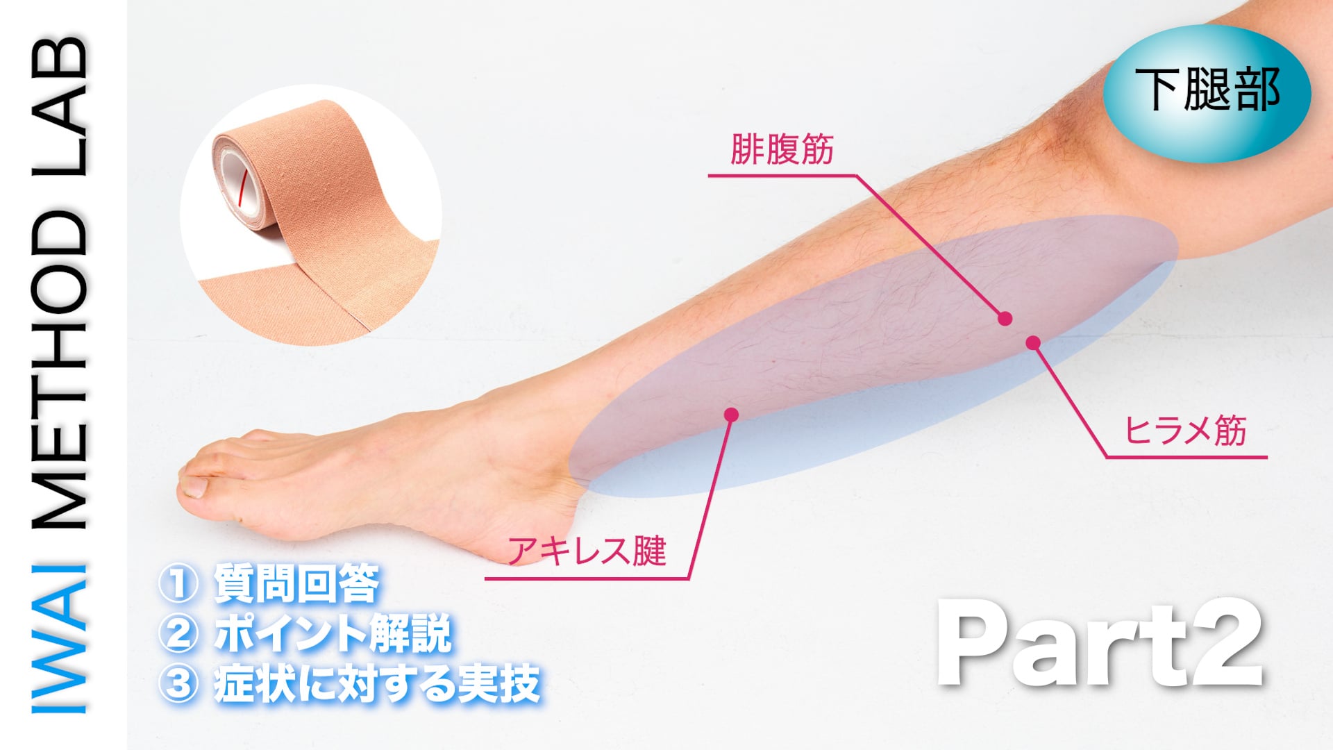 オンライン実技講習：下腿部  筋腱断裂の視診・触診と施術アプローチ Part.2