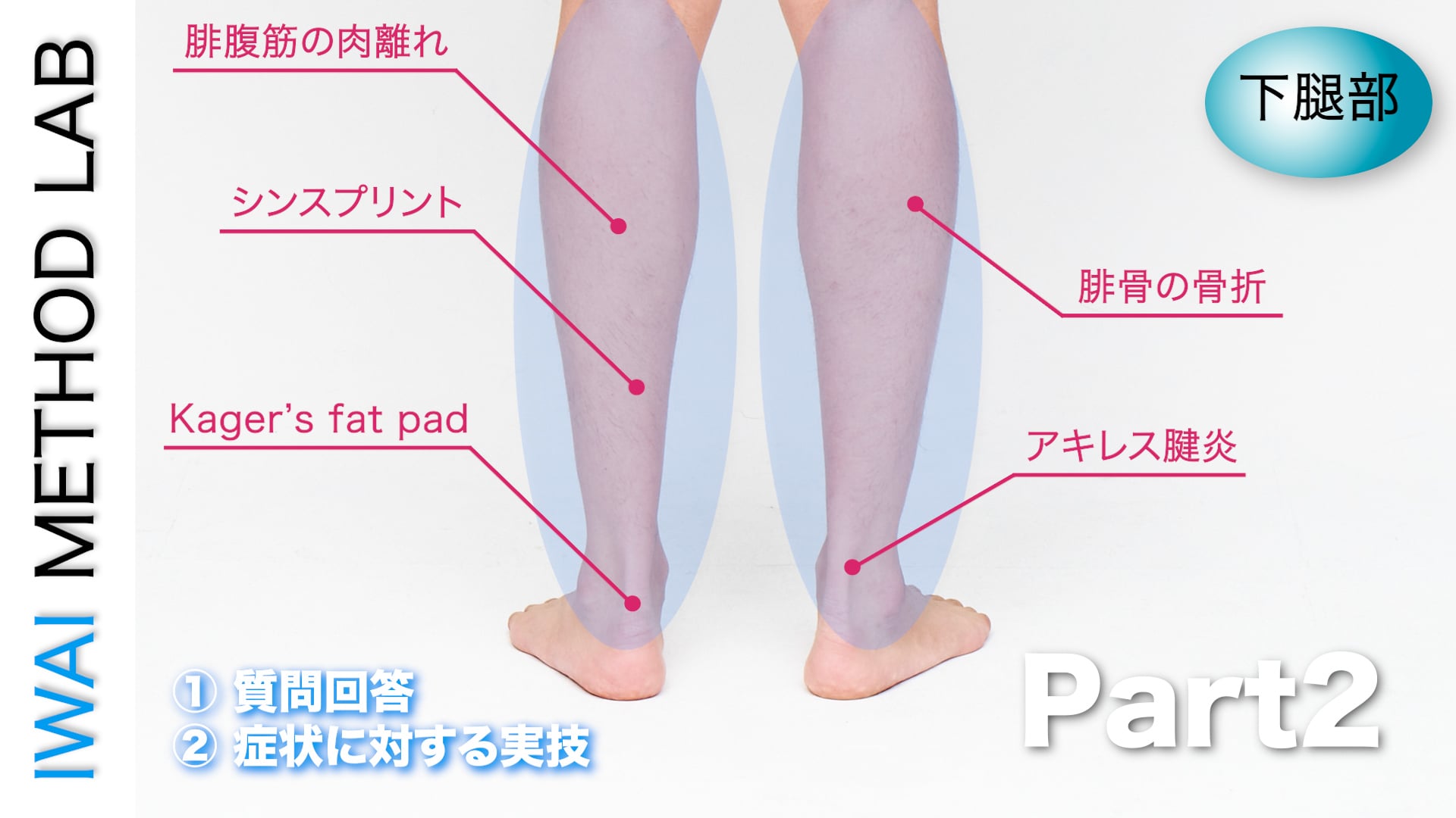 オンライン実技講習：下腿部におこる症状別対処法 Part.2