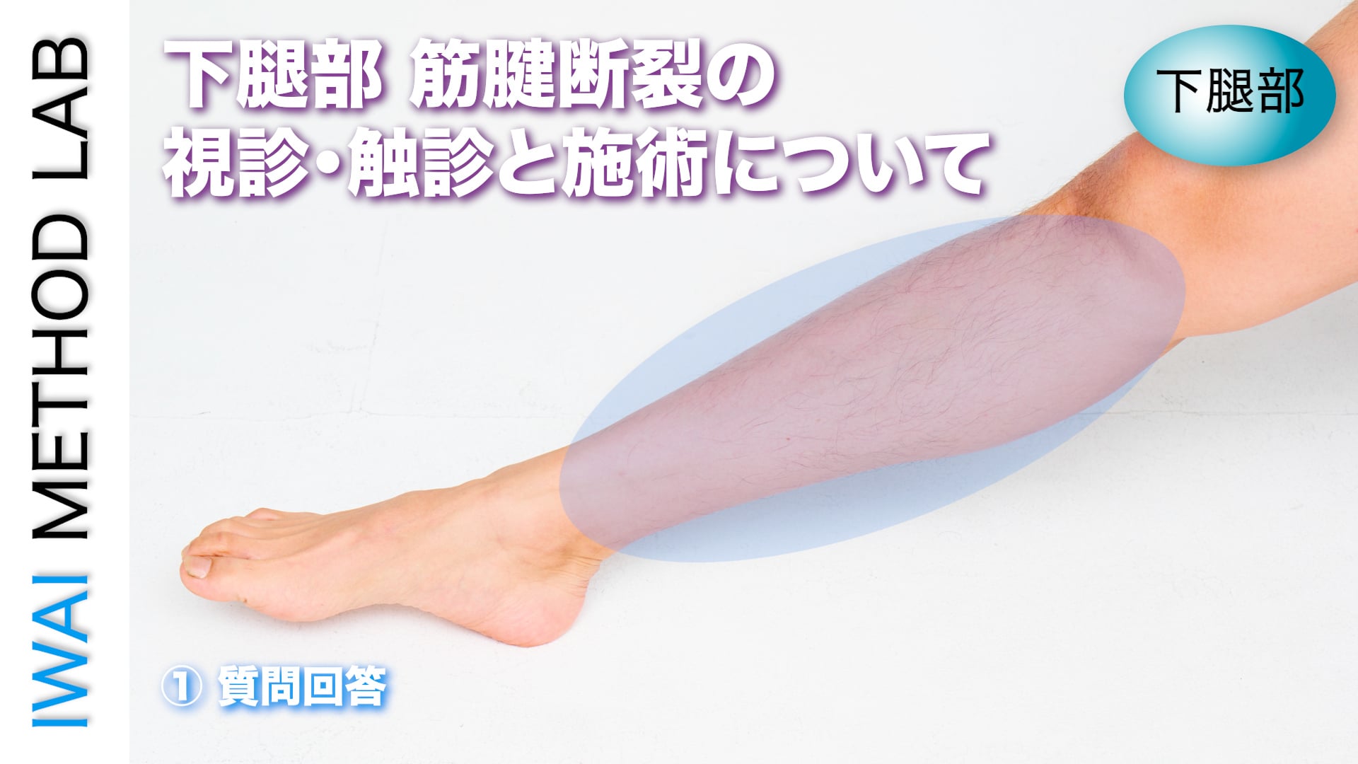 オンラインセミナー：下腿部 筋腱断裂の視診・触診と施術について(2025)