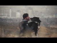 Good Pup Food Co 30sec RENO commercial for KOLO 8 4K