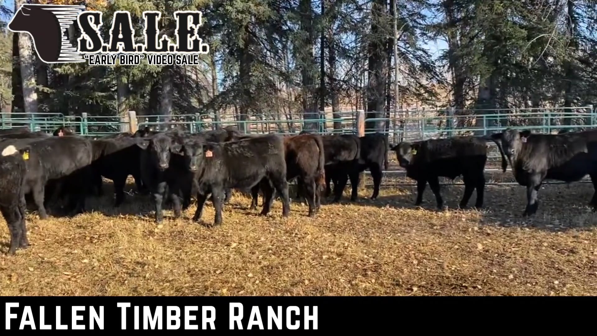 FALLEN TIMBER RANCH JUNE 10 2025_20250608_142506_0001.mp4