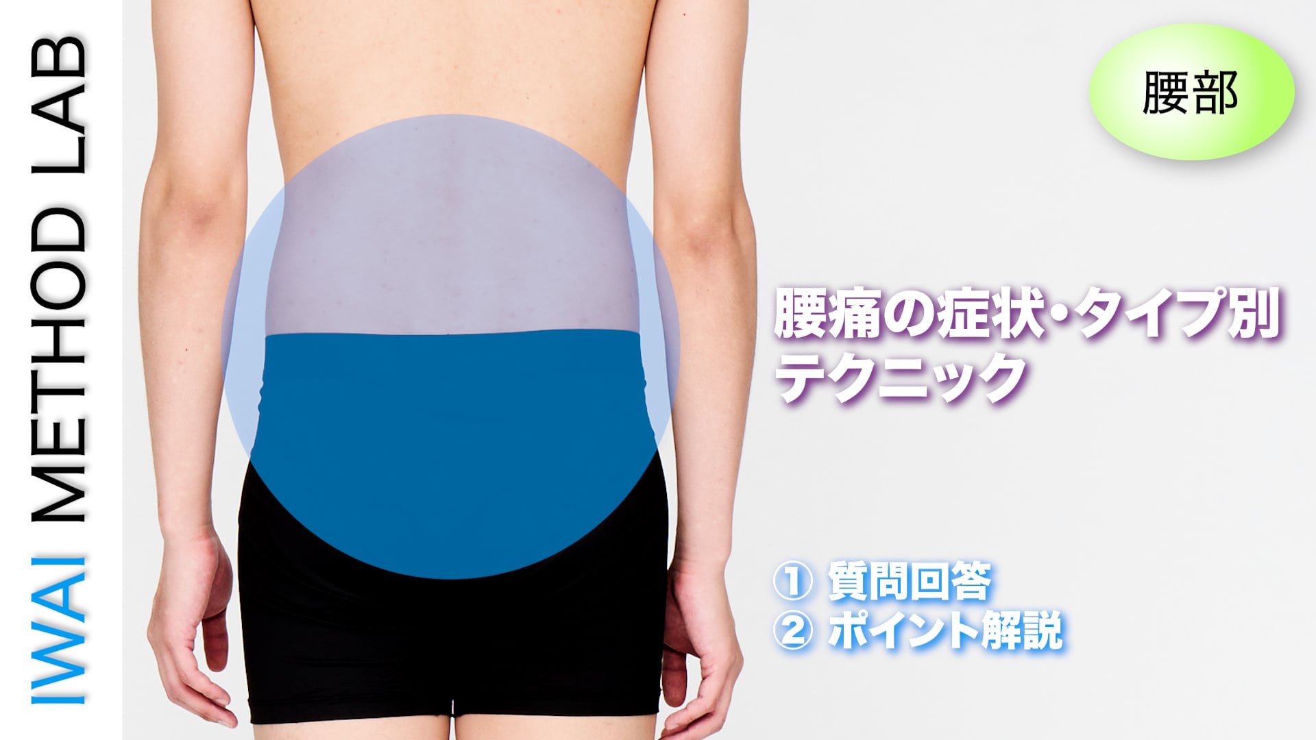 オンラインセミナー： 腰痛の症状・タイプ別テクニック(2025)