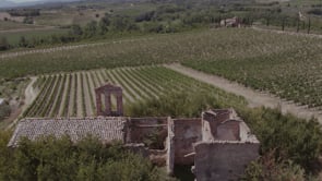 Pieve Cerliana - Consorzio Vino Nobile Montepulciano