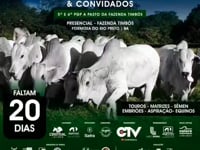 Chamada 3<br>4º Leilão Nelore JMAJ & Convidados