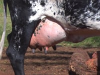 Lote 02