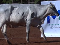 Lote 30