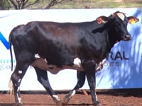 Lote 48