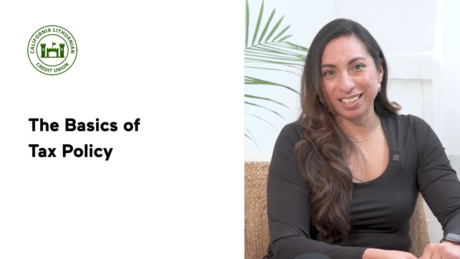 Thumbnail for The Basics of Tax Policy