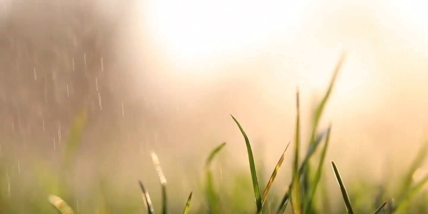 https://i.vimeocdn.com/video/2024868655-1237d9de6b02bc621bd14de69ec832c14610c795254ad88c9d790b36fa9fd586-d