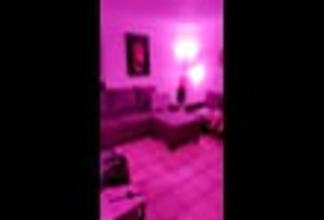 500$monthly looking for roomie  Main Photo