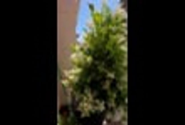 Good neighborhood with young professionals Main Photo