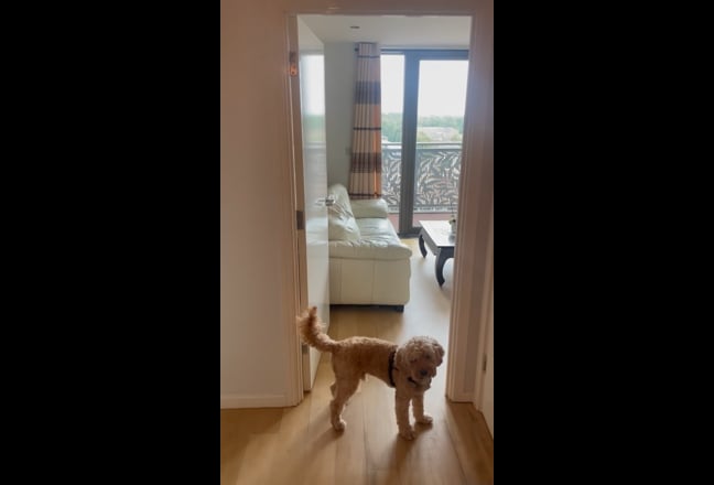 Bright and Spacious one bed flat in Zone 2 Main Photo