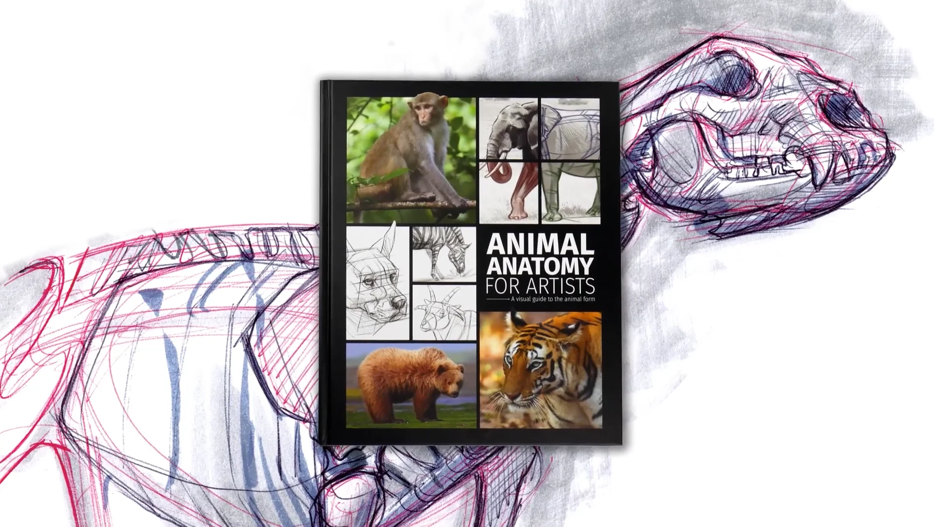 アーティストのための動物解剖学：ドローイング＆リファレンス - 動物