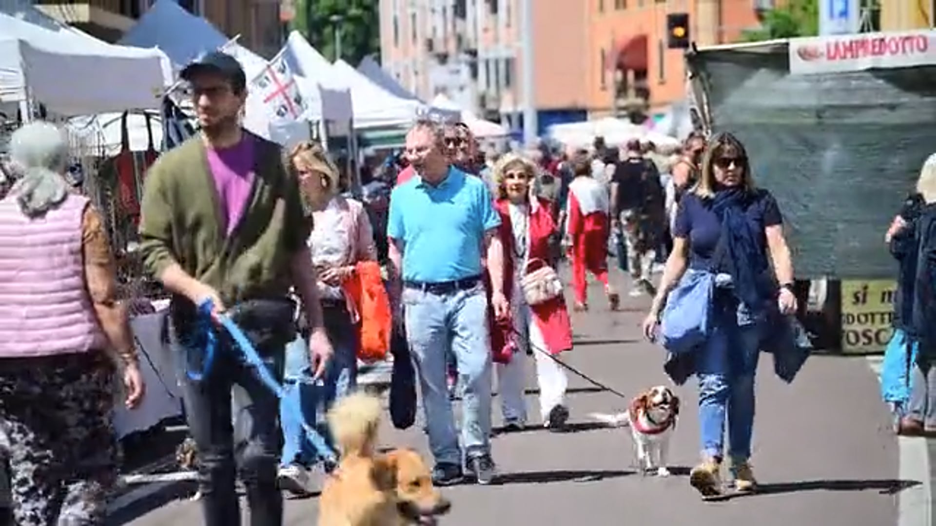Cominciano le feste di strada a Bologna. Tra le prime via Massarenti
