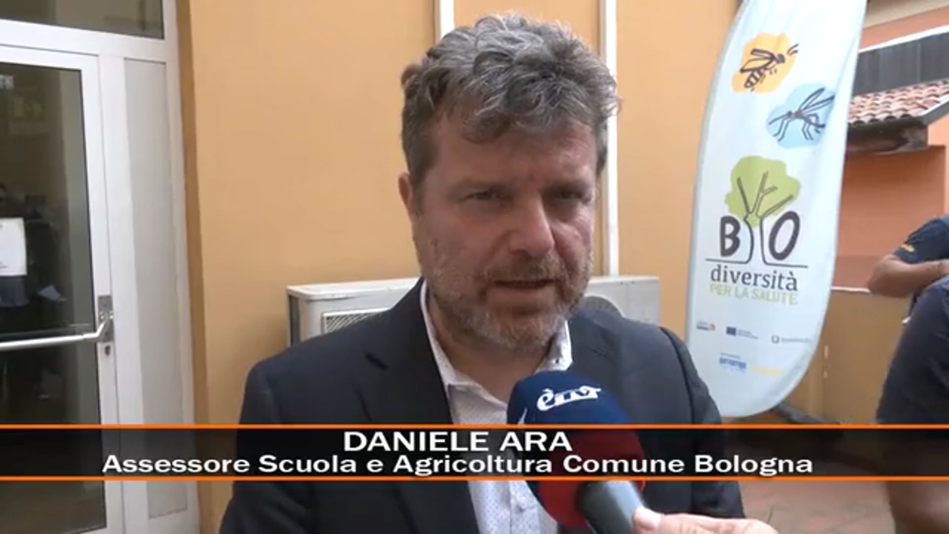 Nella giornata mondiale delle api è stata installata un’arnia a Palazzo d’Accursio