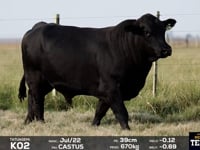 Lote 03