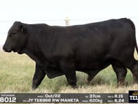 Lote 04