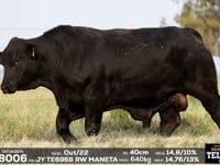 Lote 05