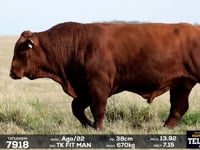 Lote 07