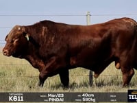 Lote 28