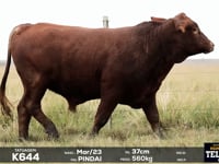 Lote 30