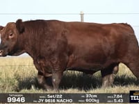 Lote 47
