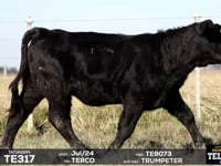 Lote 69