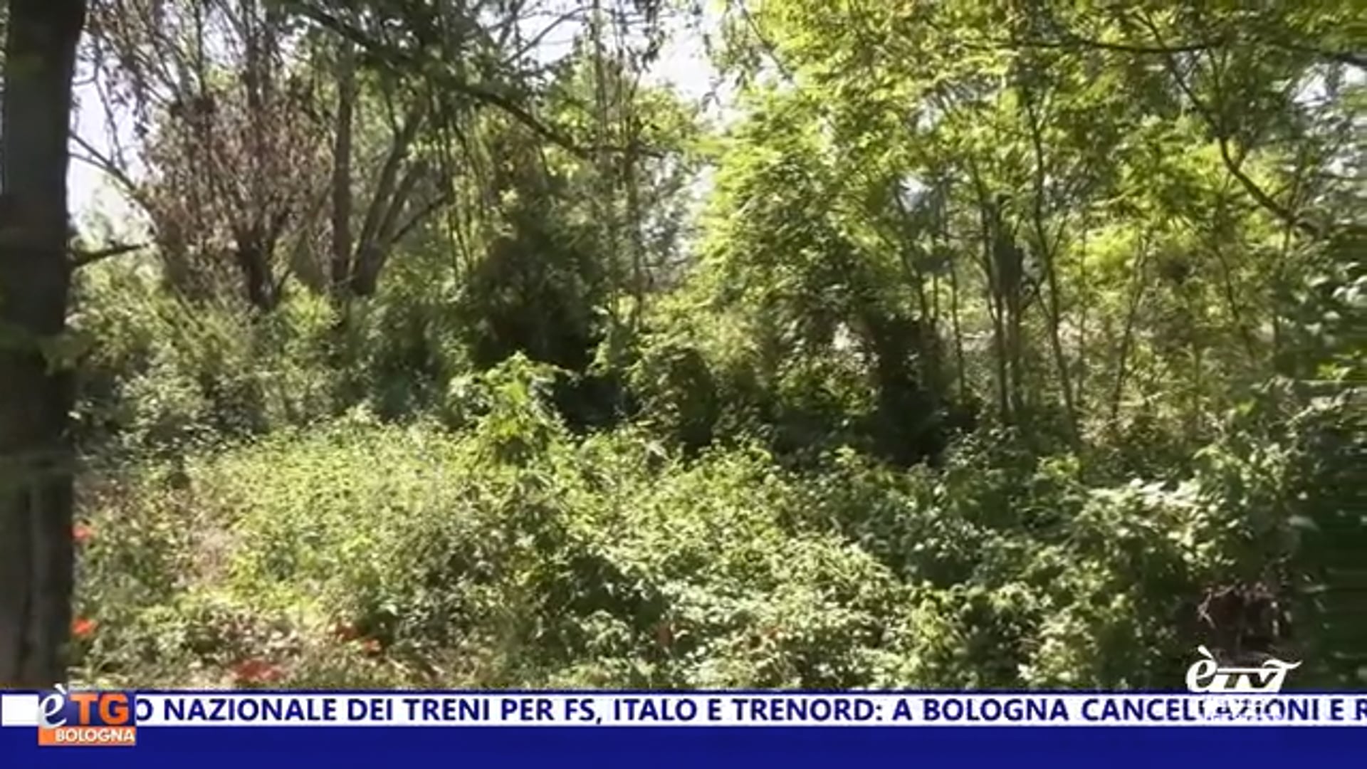 èTG –  Edizione Giorno 23/05/2025