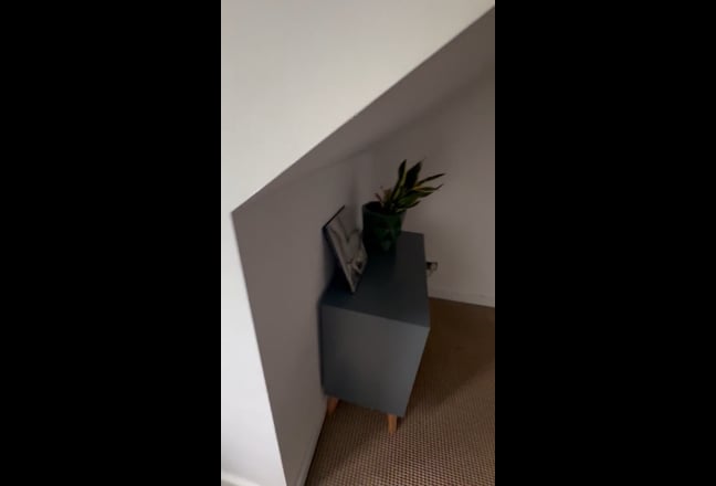 Video 1: 