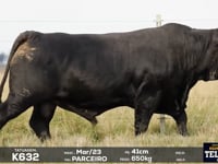 Lote 25