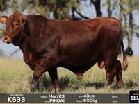 Lote 27