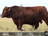 Lote 32