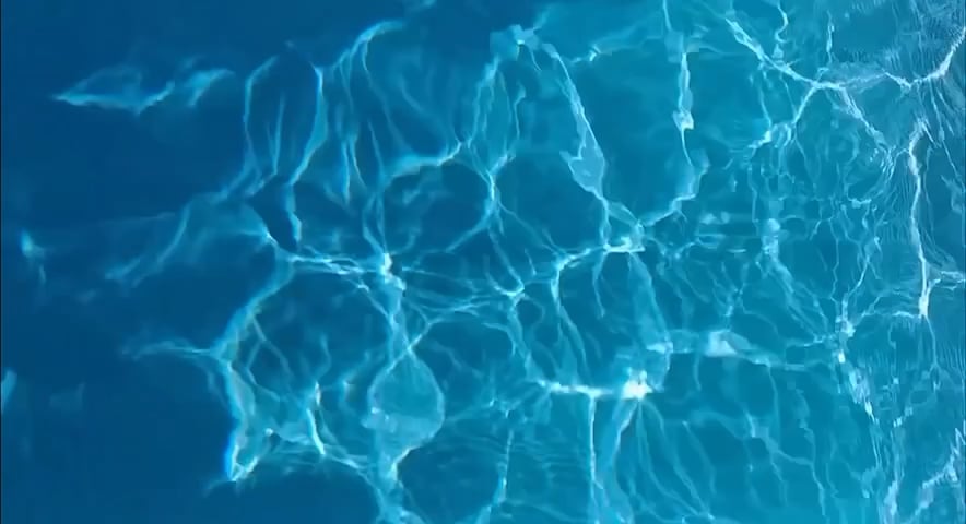 https://i.vimeocdn.com/video/2025196534-20741a5570a249f50a2246b041f44d637d8a31217f48ee8be849b70e9fd1182f-d