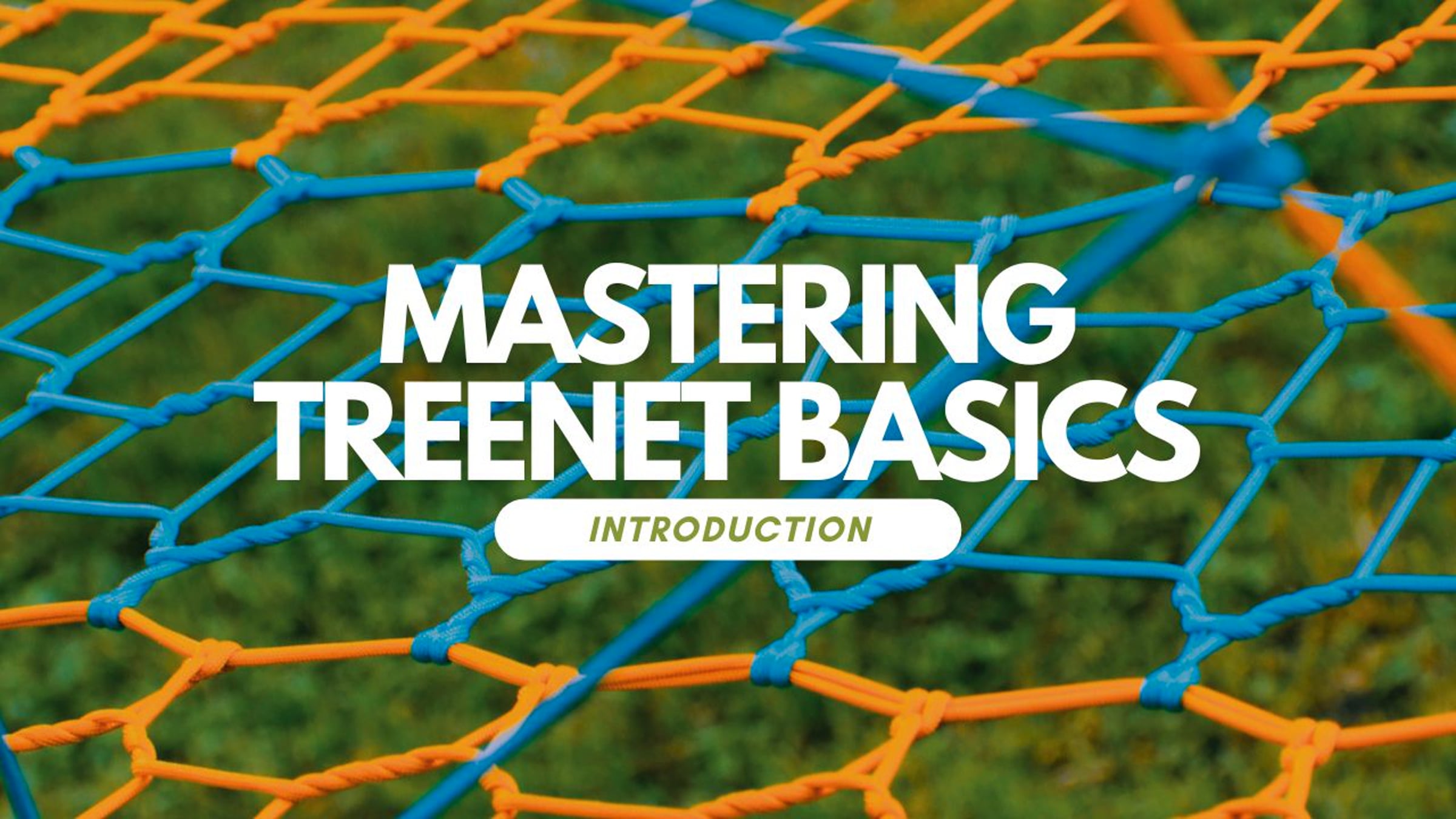 Treenet Collective | Mastering Treenet Basics | Videos & Movies on Vimeo
