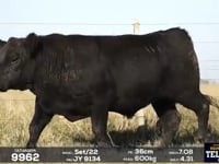 Lote 35