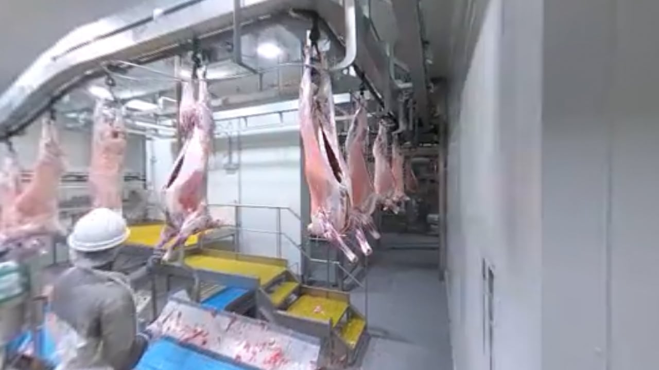 360 Degree Walkthrough of Automated Lamb Processing at JBS Brooklyn ...