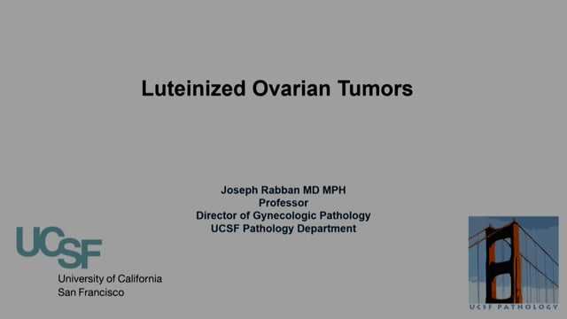 Practical approach to classifying ovarian tumours with luteinized appearance, Prof Joseph Rabban