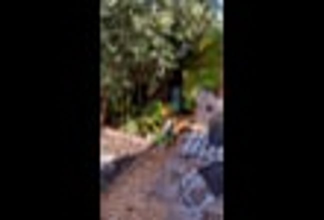 Video 1: Kitchen